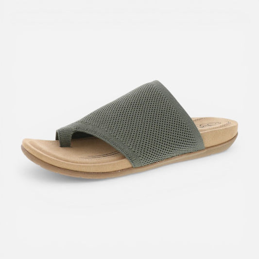 LAVISH OLIVE