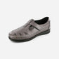 Roamer Santolina