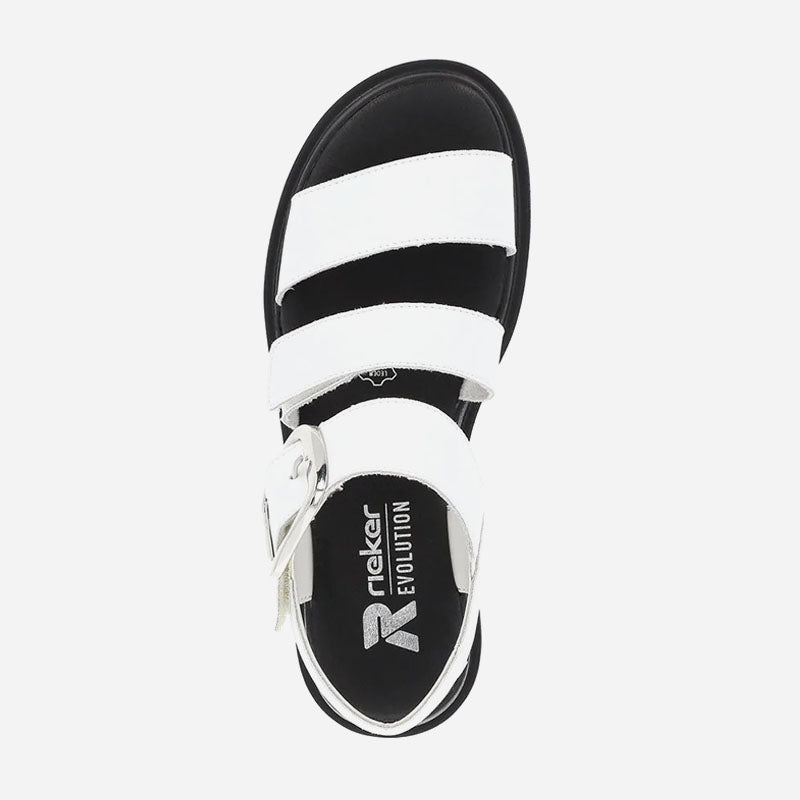 Ivory 50 White