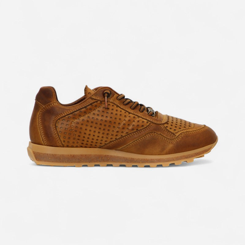 Cetti Men's C-848