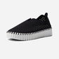 Tulip 3373 Black