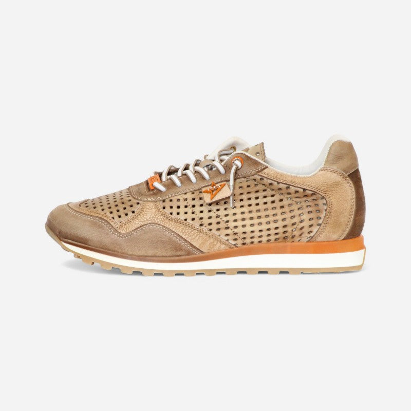 Cetti Men's C-848